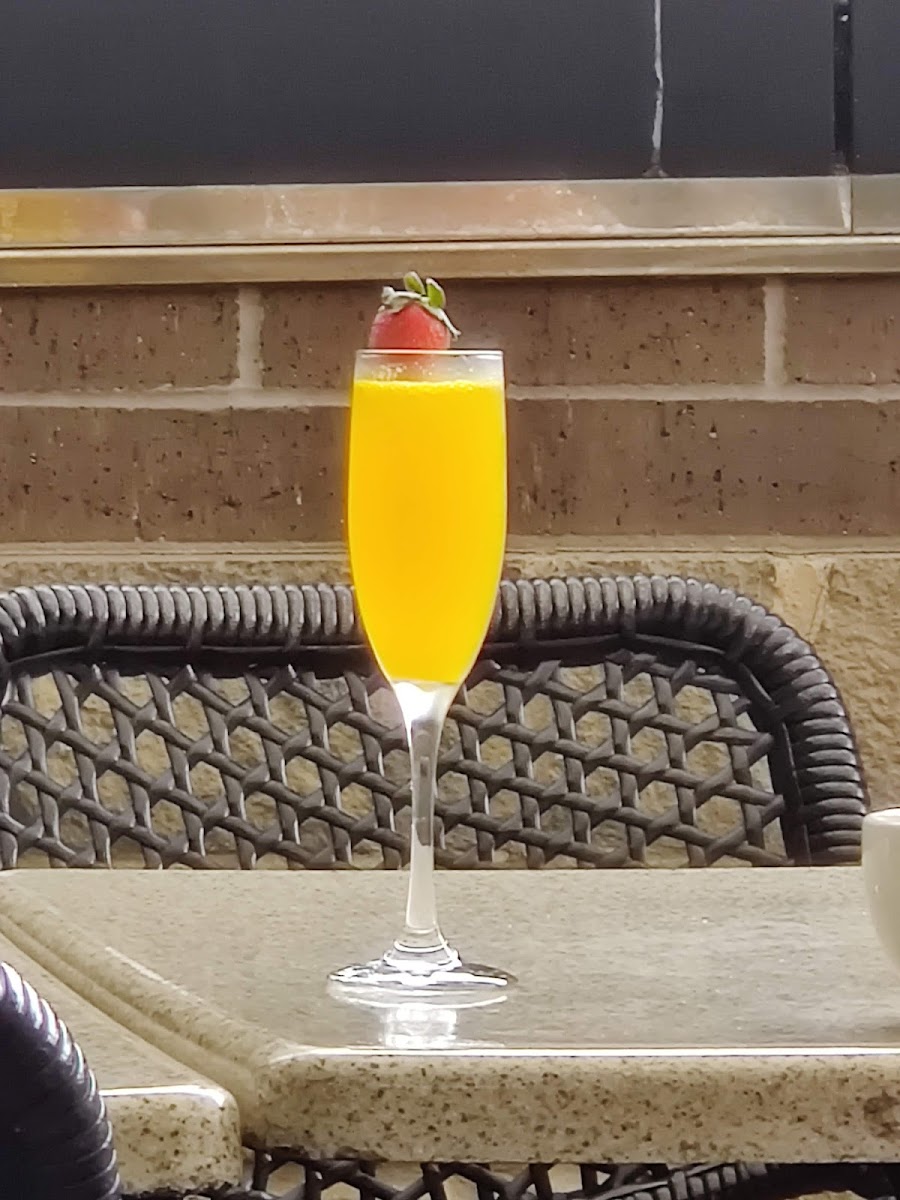 Black Walnut - Cinco Ranch-5